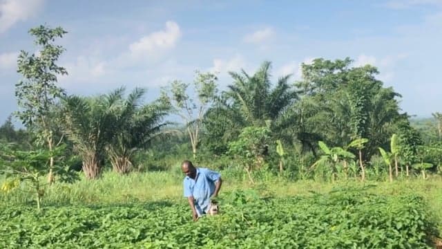 Episode 2 — Financing Nature (narrated by Paloma Costa)