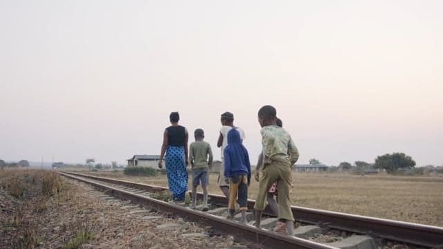 Young Emerging Farmers (YEFI) — Zambia