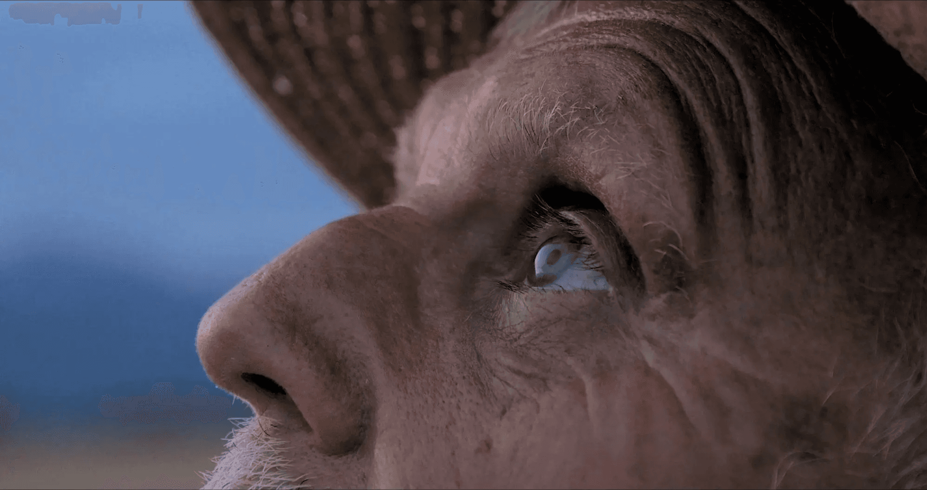 A close-up profile of an elderly man in a straw hat looking upward against a hazy blue mountain backdrop.